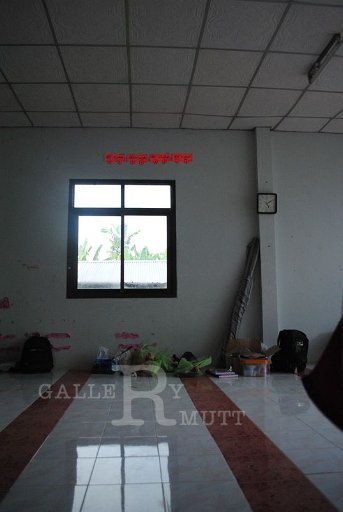 DSC_0271 Copy.JPG